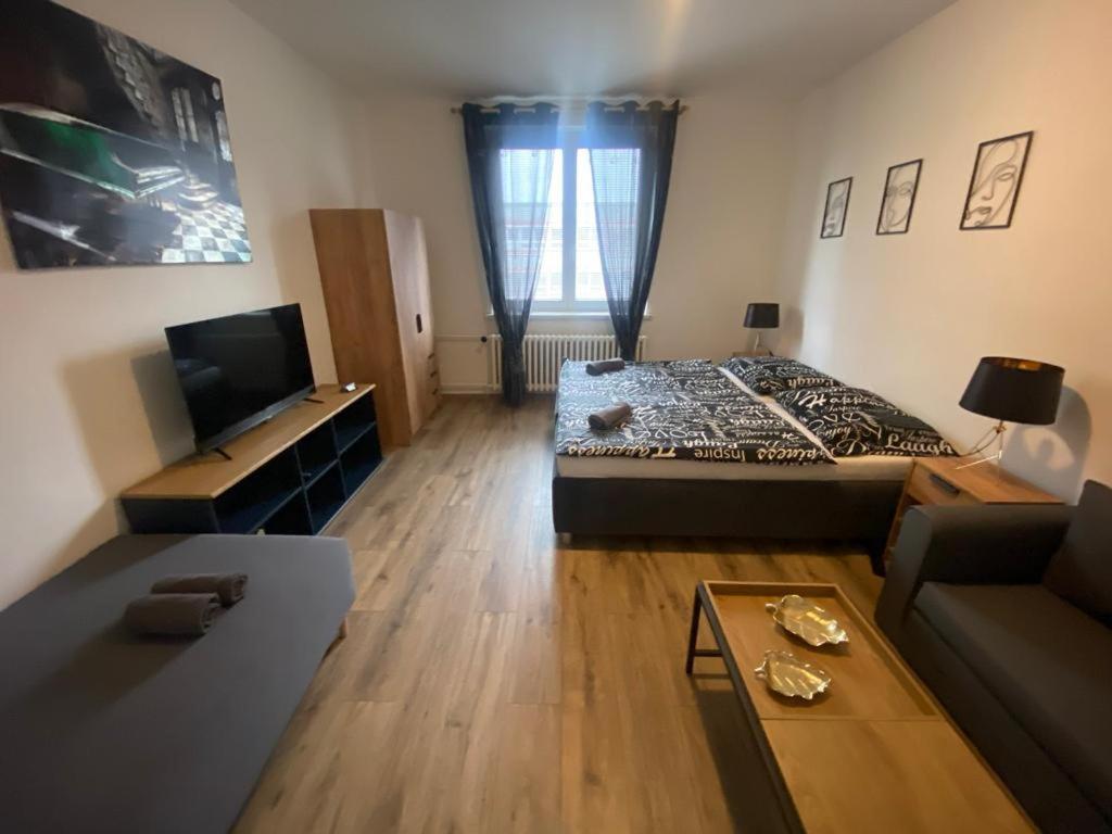 Cerna Ruze - Apartman 4 Pilzno Zewnętrze zdjęcie