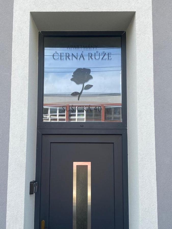 Cerna Ruze - Apartman 4 Pilzno Zewnętrze zdjęcie