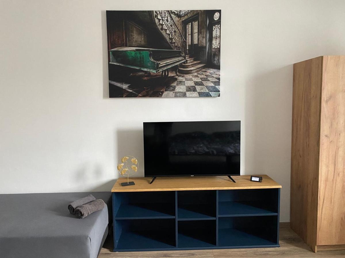 Cerna Ruze - Apartman 4 Pilzno Zewnętrze zdjęcie